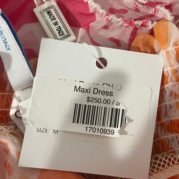 NWT Chio Di Stefania Sheer Maxi Dress Size Medium - Picture 7 of 7